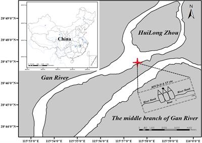 A real-time passive acoustic monitoring system to detect Yangtze finless porpoise clicks in Ganjiang River, China